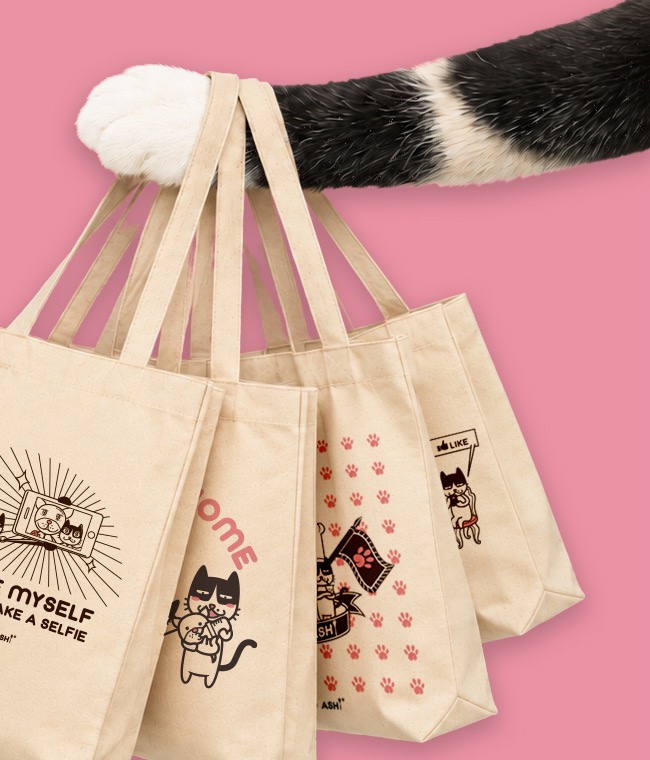 Mystery Paw Tote designs held by a paw